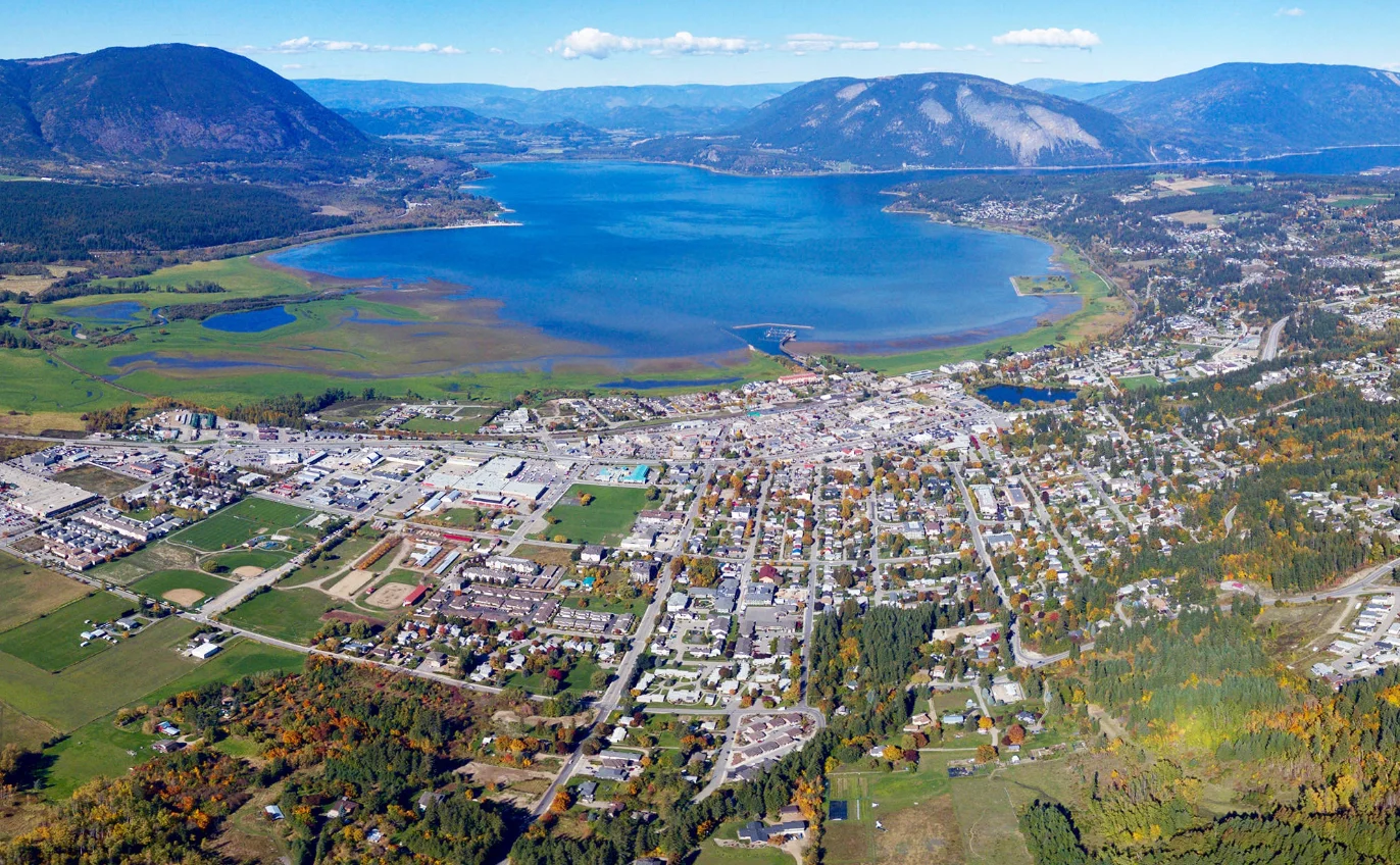 Handyman Handywoman Handyperson Assembly Services Salmon Arm, BC Handyman Handywoman Handyperson Assembly Services Salmon Arm, BC